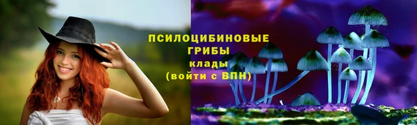 гидра Абинск