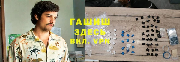 прущие грибы Медногорск