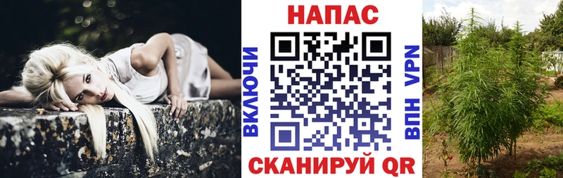 Бошки Шишки Ganja  наркошоп  kraken как зайти  Эртиль 